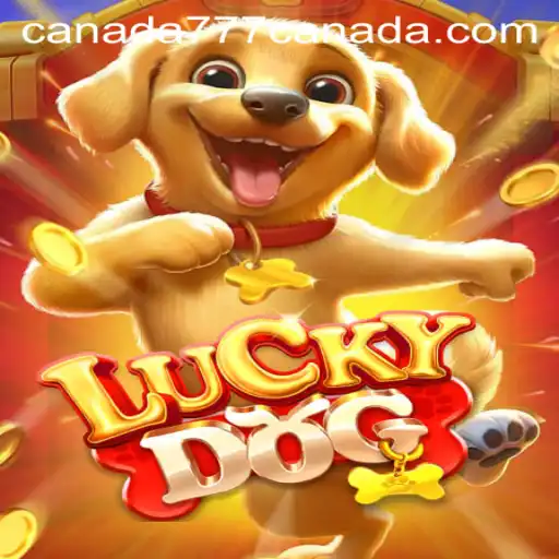Discover the Exciting World of LuckyDog with Canada777