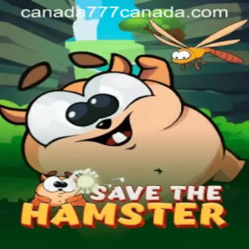 Discover SavetheHamster: A Unique Gaming Experience Inspired by Canada777